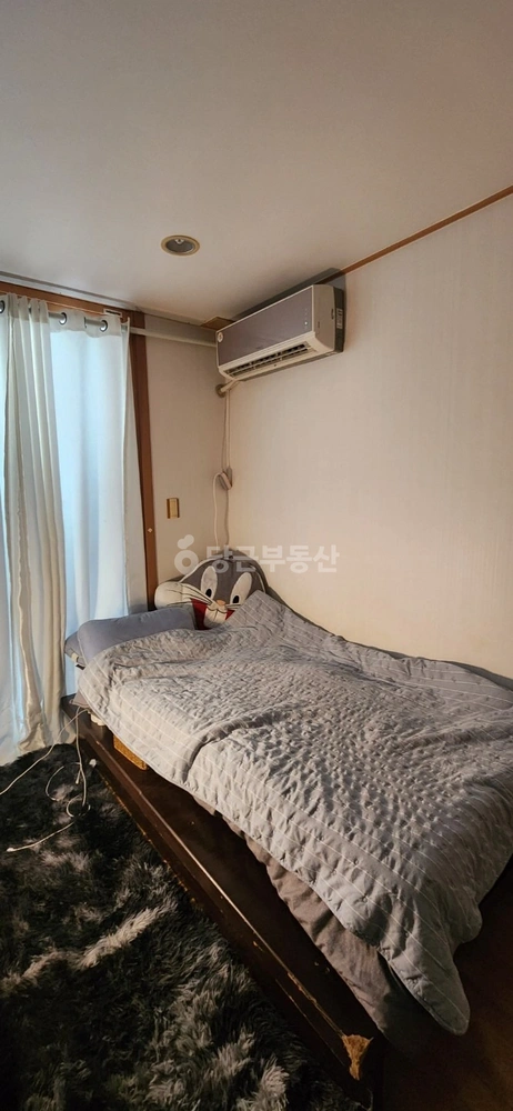 강원특별자치도 강릉시 교동 원룸 사진 1