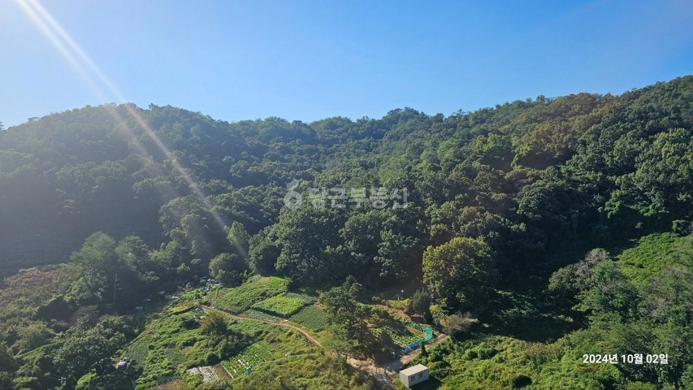 경기도 고양시 덕양구 향동동 사무실 사진 1