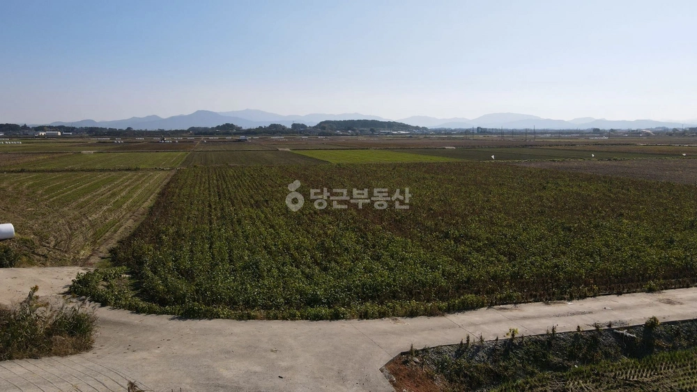 전북특별자치도 김제시 양전동 토지 사진 1