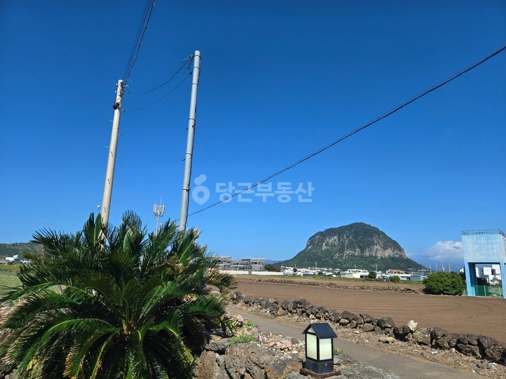제주특별자치도 서귀포시 안덕면 단독/전원주택 사진 1