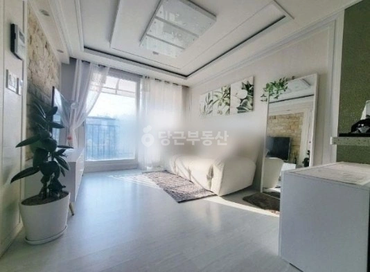 인천광역시 부평구 십정동 빌라(투룸 이상) 사진 1