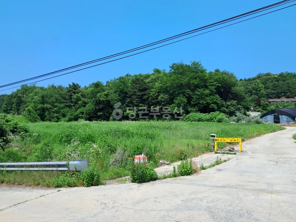 강원특별자치도 강릉시 사천면 토지 사진 1