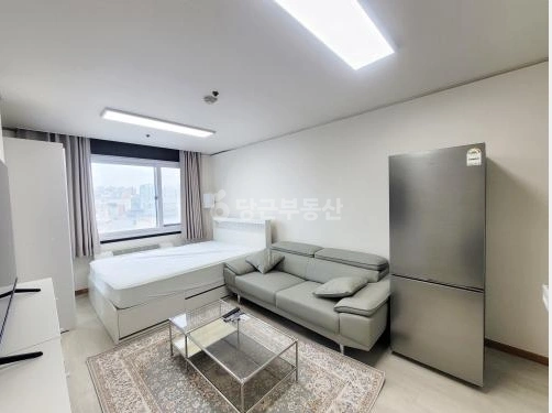 서울특별시 강남구 청담동 원룸 사진 1