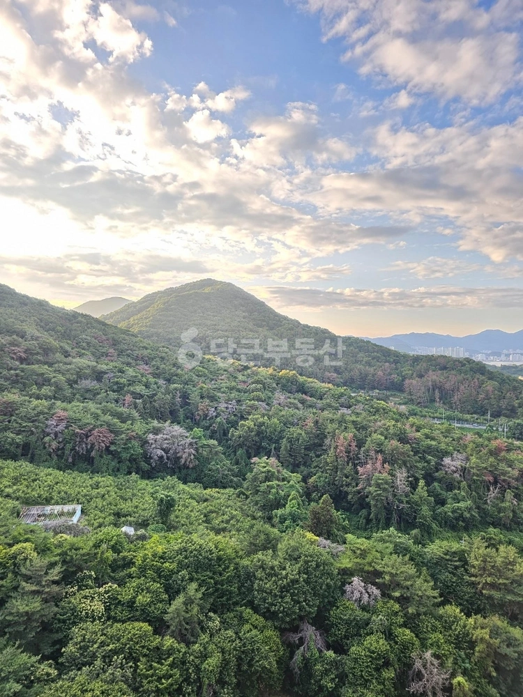경상남도 창원시 마산합포구 가포동 아파트 사진 1