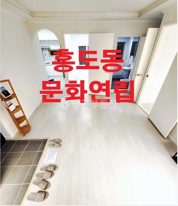 대전광역시 동구 홍도동 빌라(투룸 이상) 사진 1