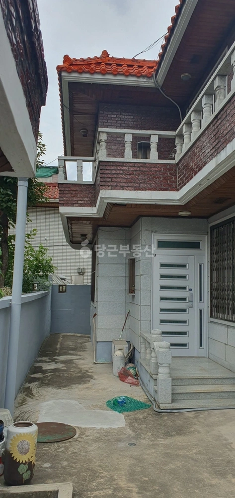 대구광역시 남구 대명동 단독/전원주택 사진 1