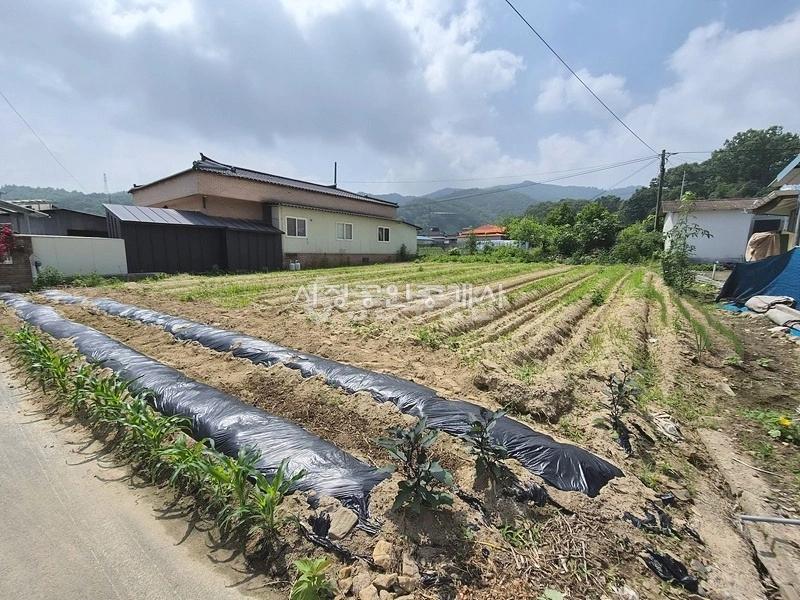 충청북도 음성군 소이면 토지 사진 1