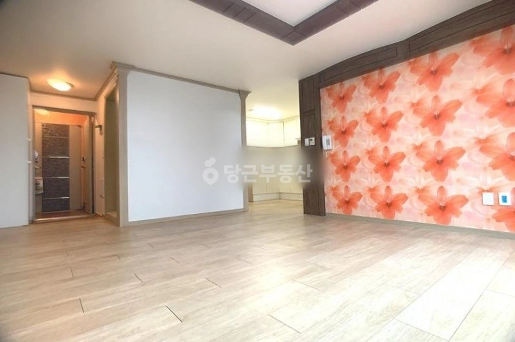 대전광역시 서구 괴정동 빌라(투룸 이상) 사진 1