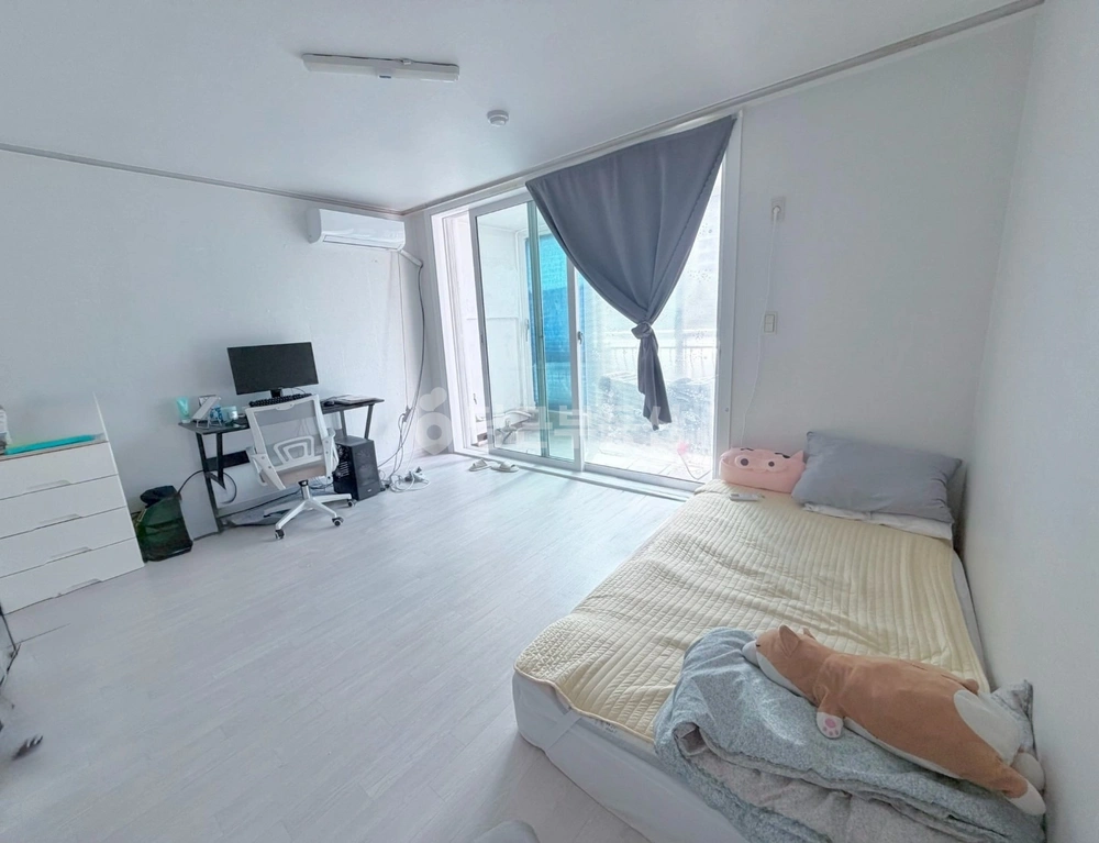 강원특별자치도 강릉시 입암동 아파트 사진 1