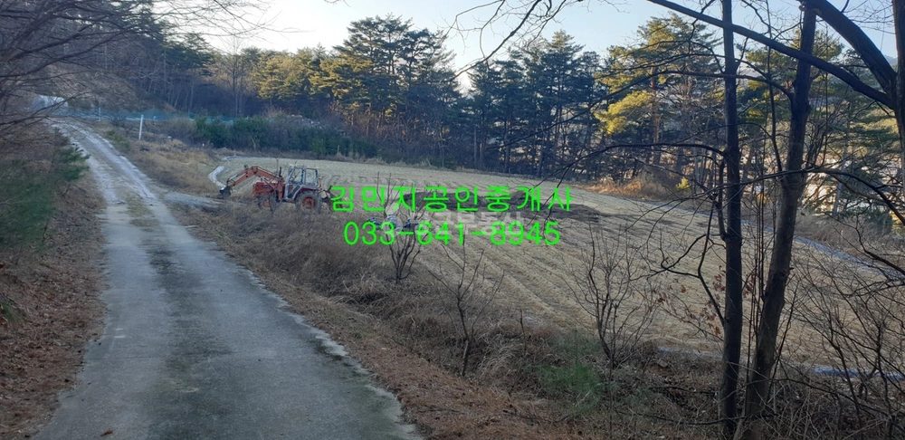 강원특별자치도 강릉시 연곡면 토지 사진 1