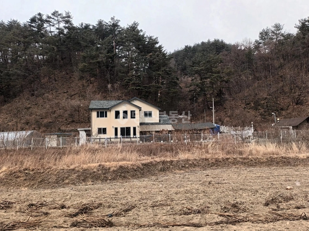 경상북도 울진군 금강송면 단독/전원주택 사진 1
