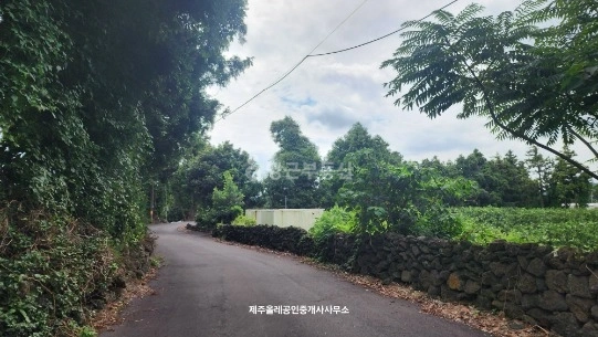 제주특별자치도 서귀포시 표선면 토지 사진 1