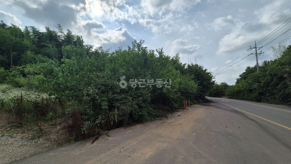 전북특별자치도 김제시 용지면 토지 사진 1