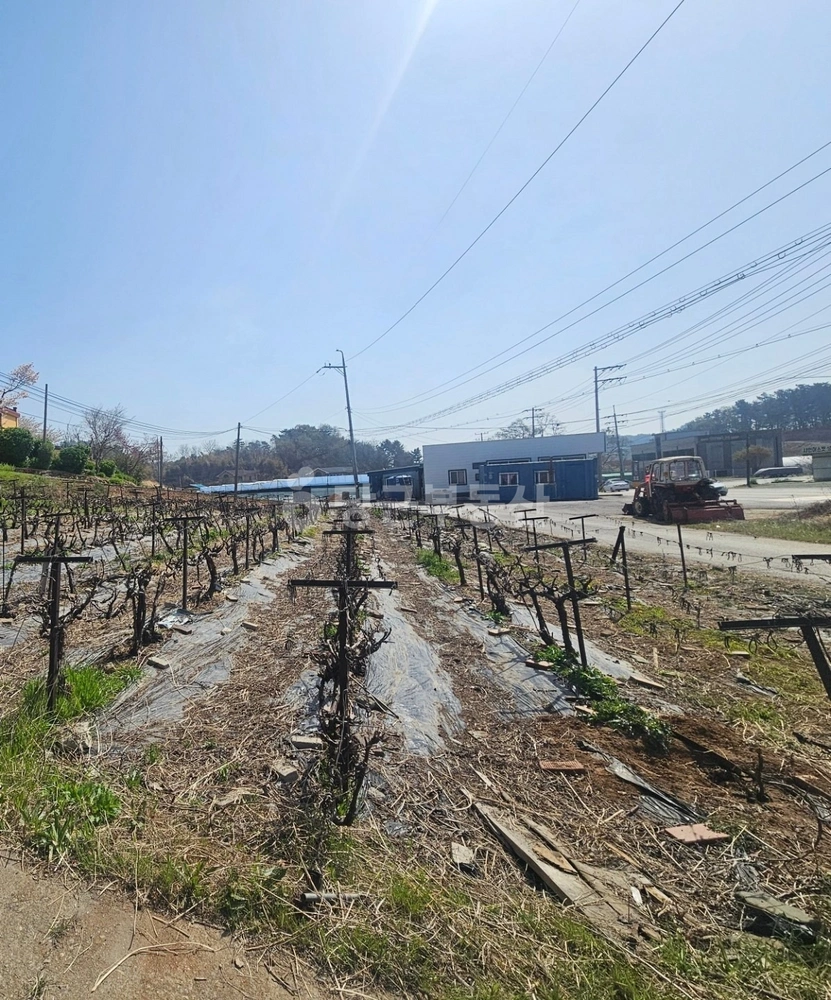 경기도 안산시 단원구 대부남동 토지 사진 1