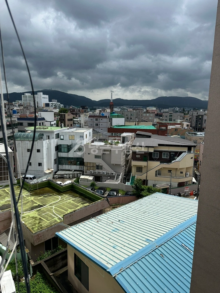 울산광역시 중구 남외동 빌라(투룸 이상) 사진 1