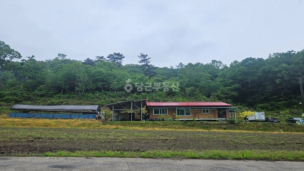충청남도 논산시 벌곡면 단독/전원주택 사진 1