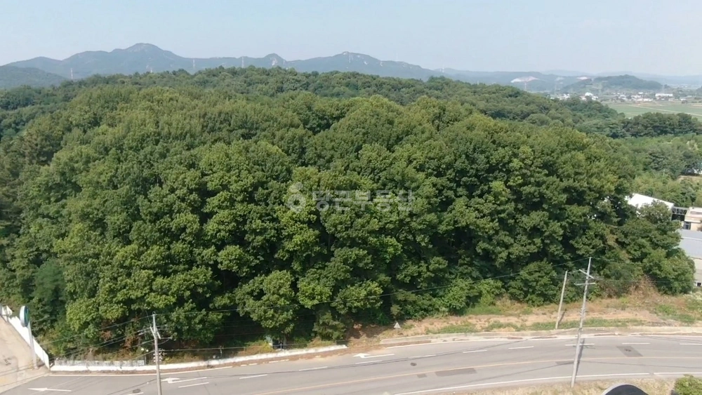 충청남도 아산시 신창면 토지 사진 1