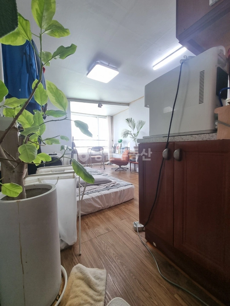 서울특별시 마포구 마포동 원룸 사진 1