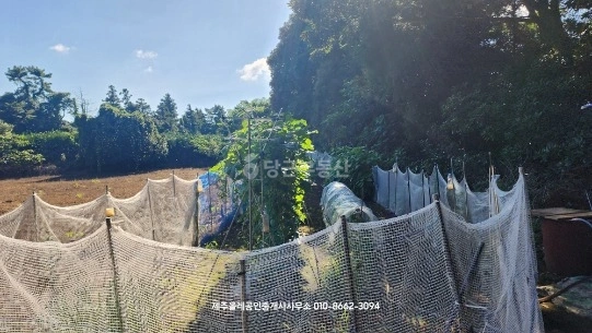 제주특별자치도 서귀포시 표선면 토지 사진 1