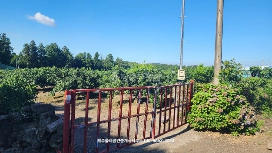 제주특별자치도 서귀포시 표선면 토지 사진 1