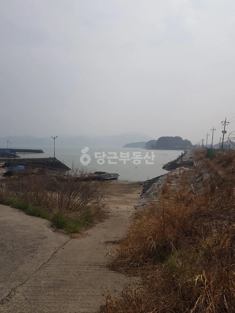 전남광주통합특별시 고흥군 풍양면 단독/전원주택 사진 1