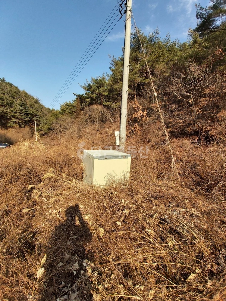 경상북도 영덕군 축산면 토지 사진 1