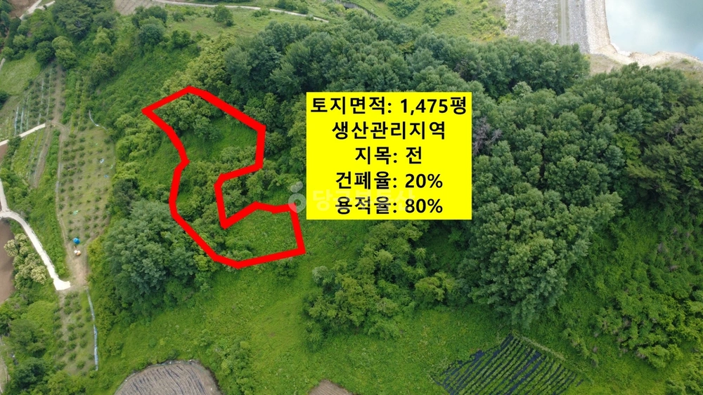 충청북도 제천시 덕산면 토지 사진 1