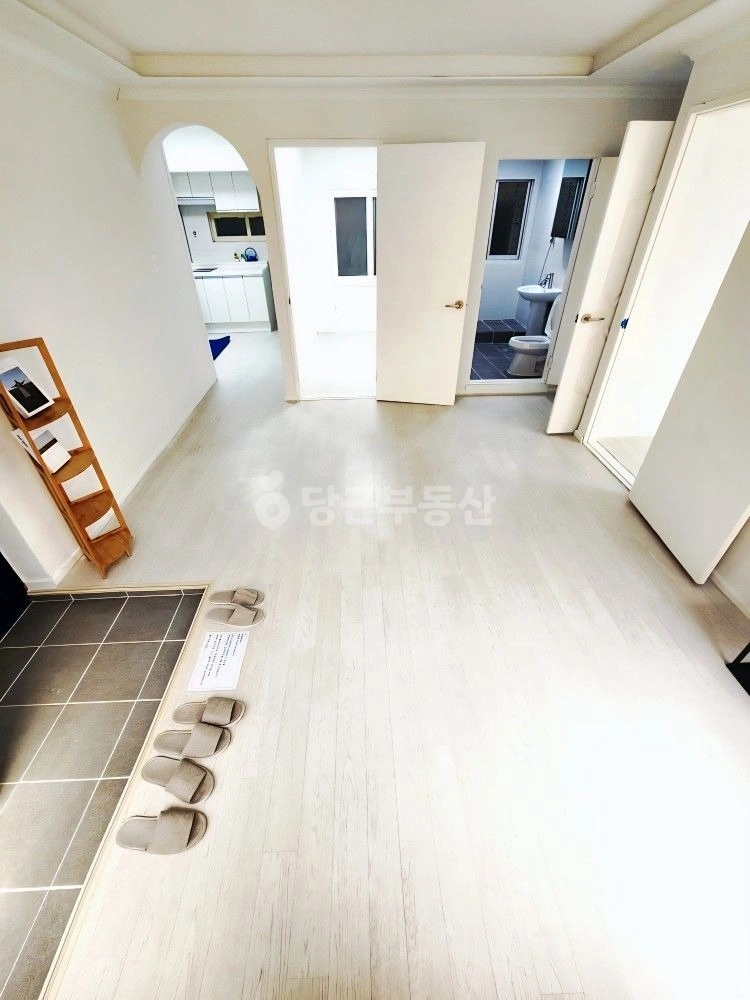 대전광역시 동구 홍도동 빌라(투룸 이상) 사진 1