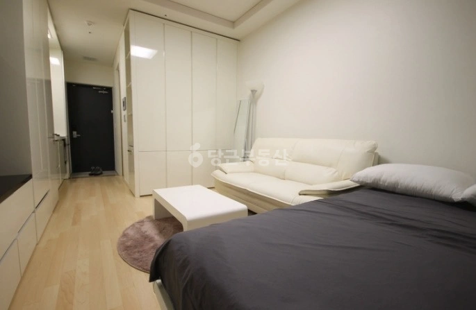 서울특별시 강남구 역삼동 오피스텔 사진 1