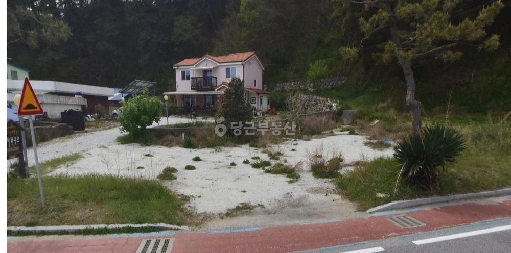 경상북도 울진군 근남면 토지 사진 1