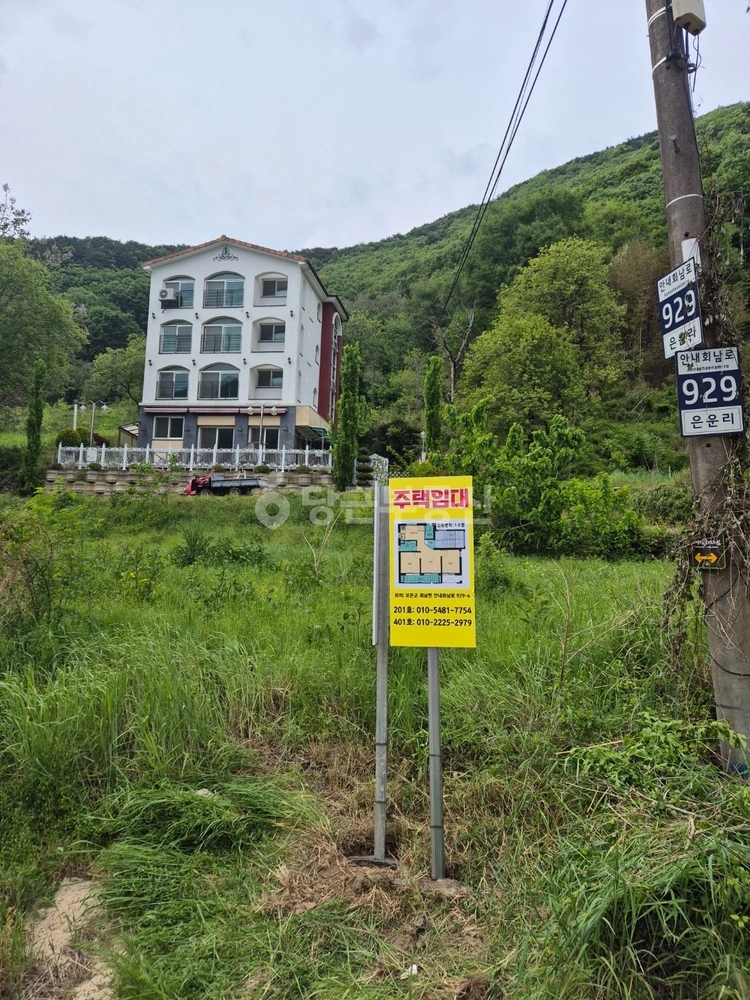 충청북도 보은군 회남면 단독/전원주택 사진 1