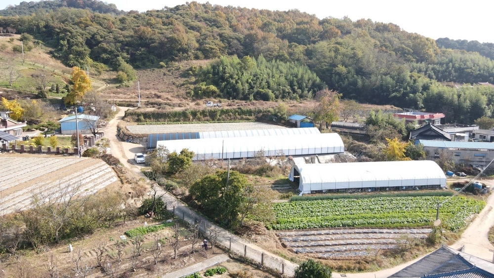 전북특별자치도 익산시 여산면 토지 사진 1