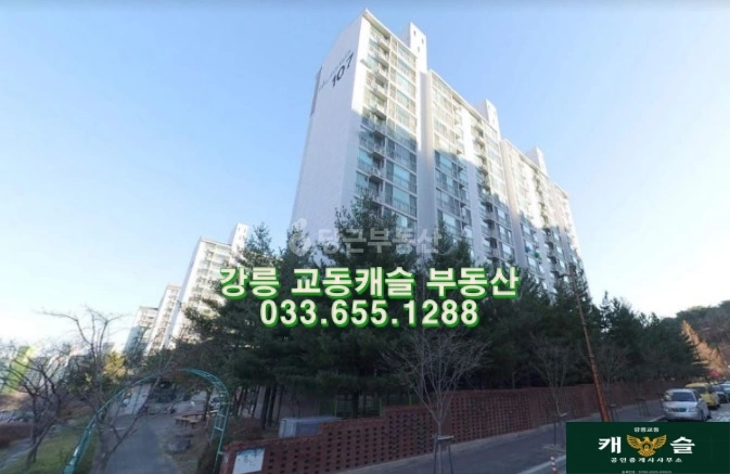 강원특별자치도 강릉시 교동 아파트 사진 1