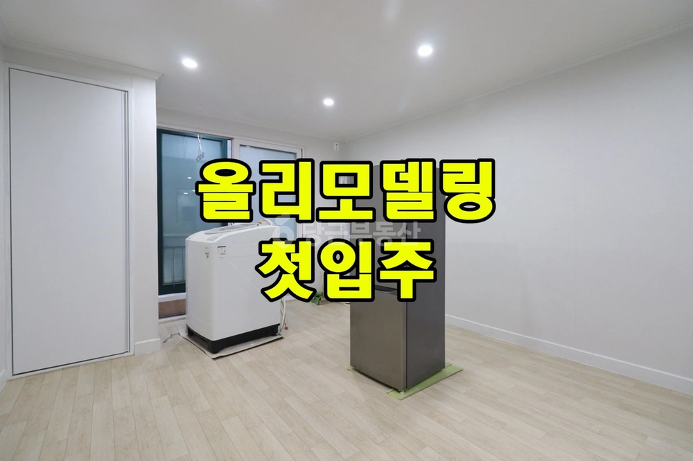 대전광역시 서구 둔산동 원룸 사진 1