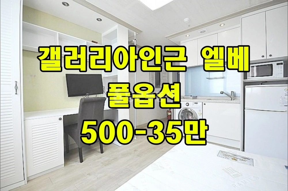 대전광역시 서구 둔산동 원룸 사진 1
