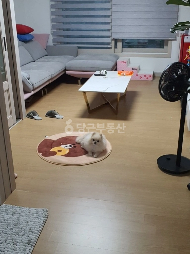경기도 용인시 처인구 김량장동 빌라(투룸 이상) 사진 1