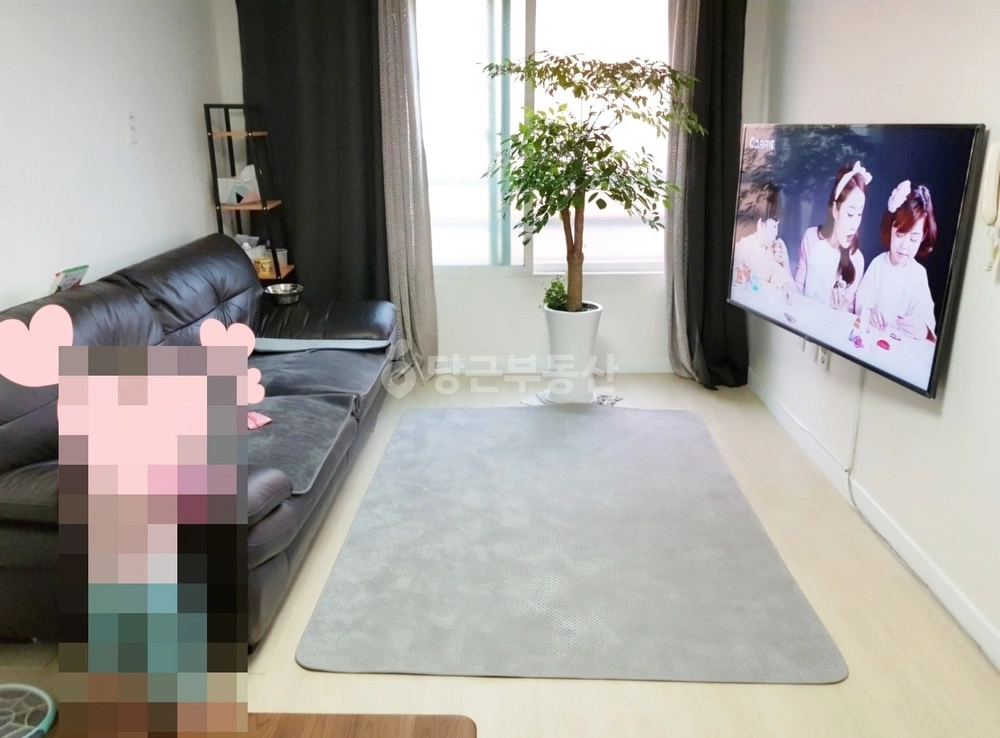 서울특별시 은평구 구산동 빌라(투룸 이상) 사진 1