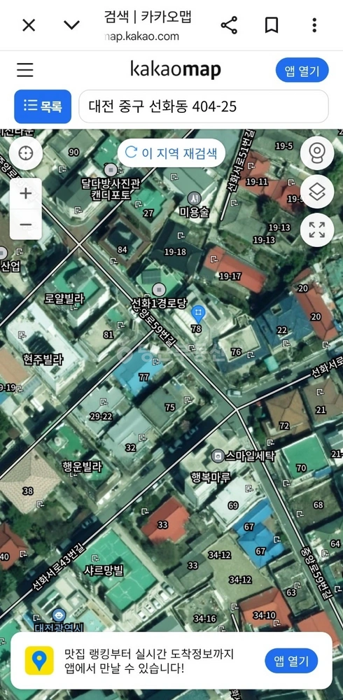 대전광역시 중구 선화동 토지 사진 1