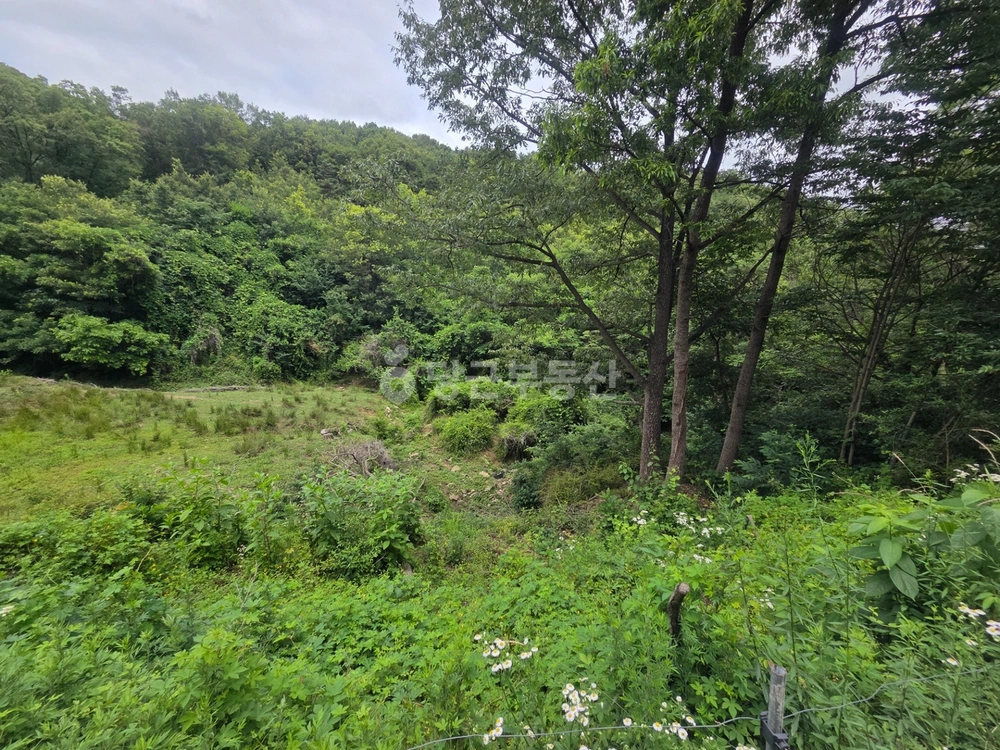 경상북도 구미시 옥성면 토지 사진 1
