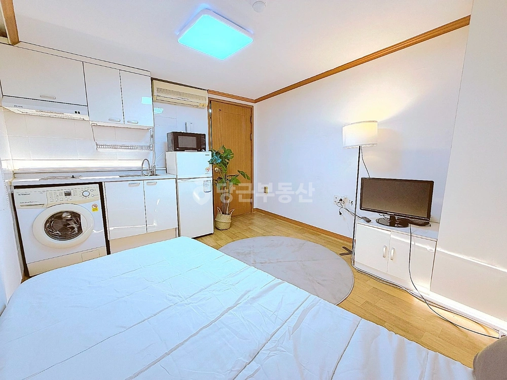 부산광역시 동래구 온천동 원룸 사진 1