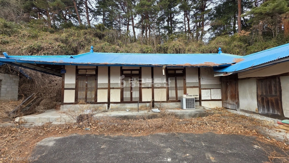 강원특별자치도 강릉시 운산동 토지 사진 1