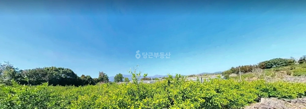 제주특별자치도 서귀포시 남원읍 토지 사진 1