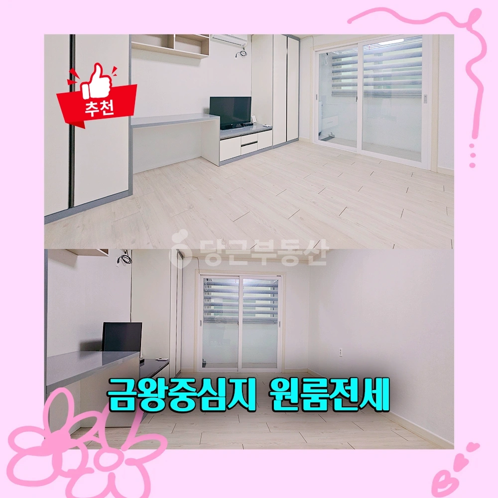 충청북도 음성군 금왕읍 원룸 사진 1