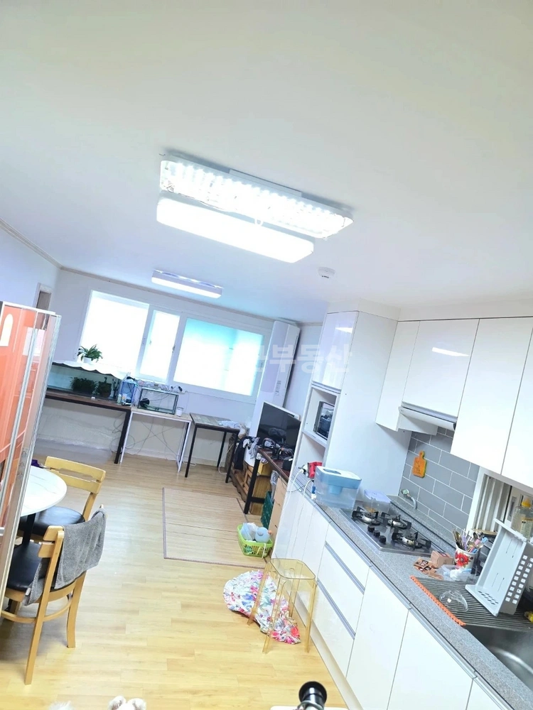 경기도 부천시 원미구 심곡동 단독/전원주택 사진 1