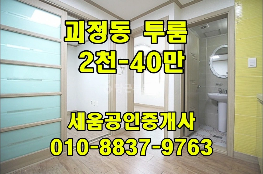 대전광역시 서구 괴정동 빌라(투룸 이상) 사진 1