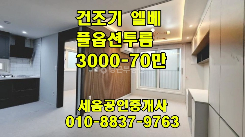 대전광역시 서구 괴정동 빌라(투룸 이상) 사진 1