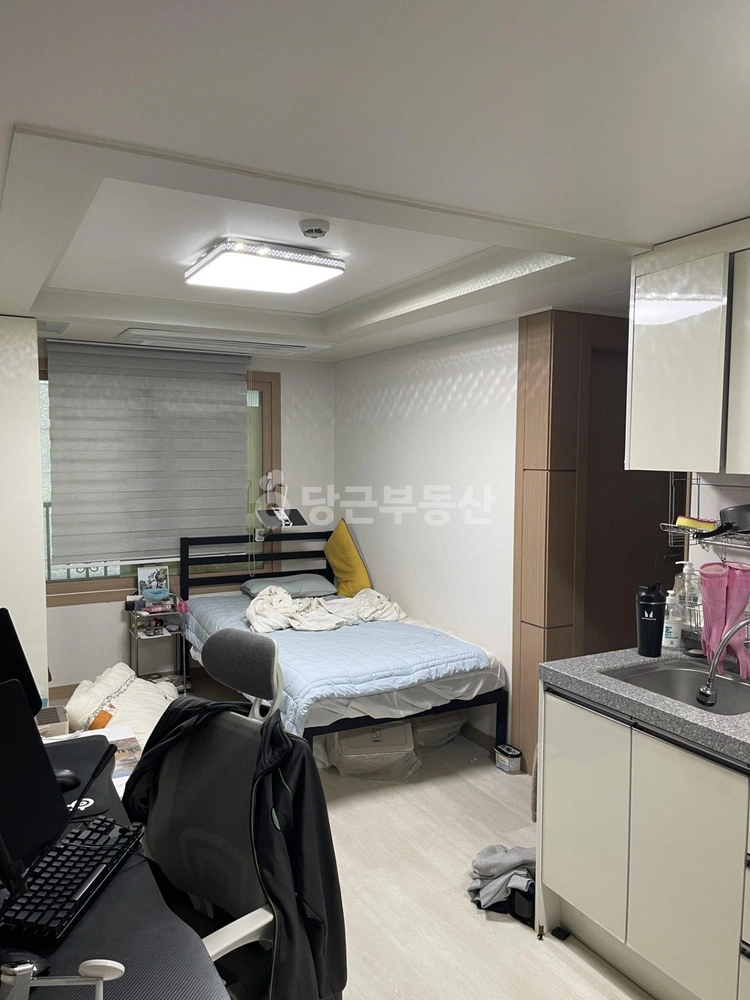 제주특별자치도 제주시 아라일동 단독/전원주택 사진 1