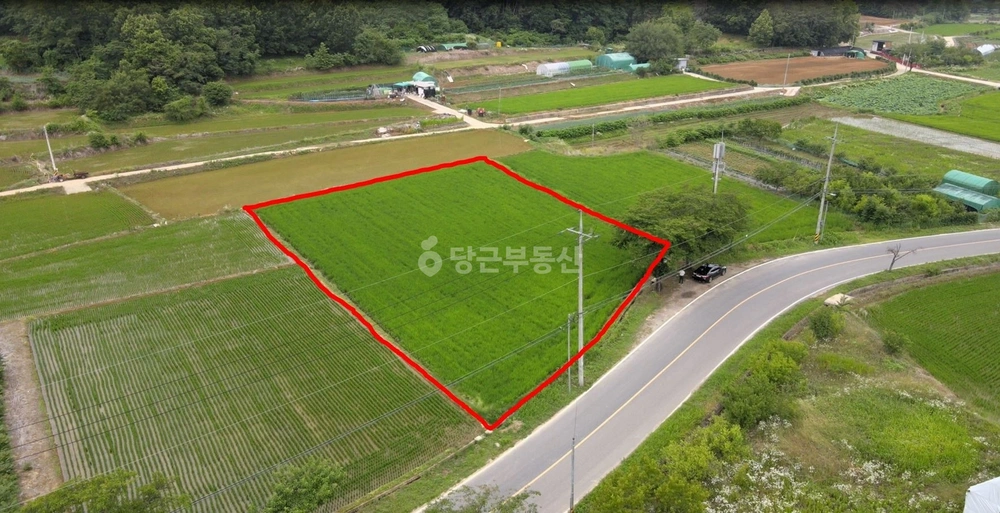 대구광역시 달성군 하빈면 토지 사진 1