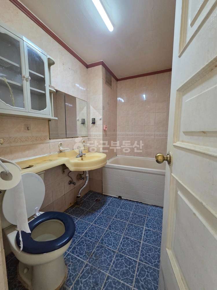 대전광역시 동구 가양동 빌라(투룸 이상) 사진 1