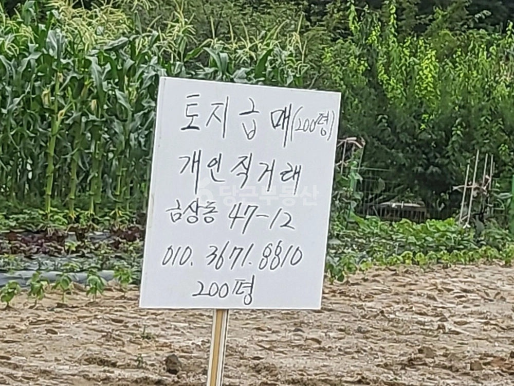 전북특별자치도 전주시 덕진구 금상동 토지 사진 1